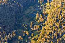 Vue aérienne de Étangs pour la pisciculture dans le Storrbach à le quartier Langmühle in Lemberg dans le département Rhénanie-Palatinat, Allemagne