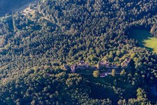 Massif du château d'Altdahn avec ruines des châteaux de Granfendahn et Tanstein à Dahn dans le département Rhénanie-Palatinat, Allemagne hors des airs
