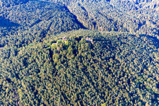Vue aérienne de Rune du château de Drachenfels à Busenberg dans le département Rhénanie-Palatinat, Allemagne