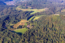 Vue aérienne de Refuge Cramerhaus et restaurant sauvage au pied des ruines du château de Lindelbrunn à Vorderweidenthal dans le département Rhénanie-Palatinat, Allemagne