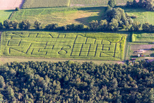 Photographie aérienne de Labyrinthe de maïs, lieu de mariage et salon de plage Seehof à Steinweiler dans le département Rhénanie-Palatinat, Allemagne