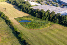 Photographie aérienne de Biotope entre Flutgraben et Erlenbach à Steinweiler dans le département Rhénanie-Palatinat, Allemagne