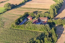 Vue aérienne de Leistenmühle sur l'Erlenbach à Kandel dans le département Rhénanie-Palatinat, Allemagne