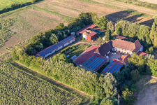 Photographie aérienne de Leistenmühle sur l'Erlenbach à Kandel dans le département Rhénanie-Palatinat, Allemagne