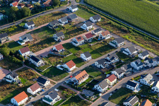 Vue aérienne de Chemin des tournesols à Kandel dans le département Rhénanie-Palatinat, Allemagne