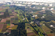 Vue aérienne de Billigheimer Bruch vu de l'ouest à le quartier Mühlhofen in Billigheim-Ingenheim dans le département Rhénanie-Palatinat, Allemagne