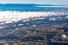 Vue aérienne de Parc éolien près de Freckenfeld à Hergersweiler dans le département Rhénanie-Palatinat, Allemagne