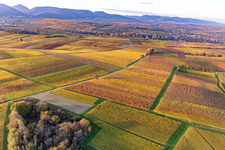 Vue d'oiseau de Vignobles du sud de la Wienstraße dans les feuilles d'automne à le quartier Ingenheim in Billigheim-Ingenheim dans le département Rhénanie-Palatinat, Allemagne