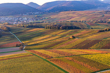 Vue aérienne de Vignobles du sud de la Wienstraße dans les feuilles d'automne à le quartier Klingen in Heuchelheim-Klingen dans le département Rhénanie-Palatinat, Allemagne