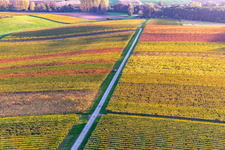 Vignobles du sud de la Wienstraße dans les feuilles d'automne à le quartier Klingen in Heuchelheim-Klingen dans le département Rhénanie-Palatinat, Allemagne vue d'en haut