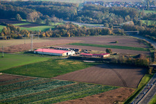 Ferme d'œufs de ferme de poulets à Erlenbach bei Kandel dans le département Rhénanie-Palatinat, Allemagne hors des airs