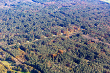 Vue aérienne de Des rangées d'abris de l'armée américaine dans la forêt à Schönenberg-Kübelberg dans le département Rhénanie-Palatinat, Allemagne