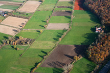 Vue aérienne de Erlenbachtal Herrenmühle à Erlenbach bei Kandel dans le département Rhénanie-Palatinat, Allemagne
