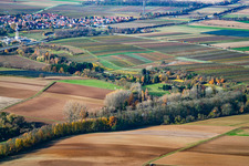 Vue aérienne de À la cabane du pêcheur à Insheim dans le département Rhénanie-Palatinat, Allemagne