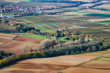 Vue aérienne de Insheim dans le département Rhénanie-Palatinat, Allemagne