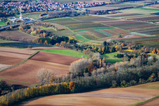 Vue aérienne de À la cabane du pêcheur à Insheim dans le département Rhénanie-Palatinat, Allemagne