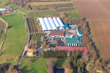 Vue aérienne de Ferme fruitière Zirker à Herxheim bei Landau dans le département Rhénanie-Palatinat, Allemagne