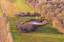 Vue aérienne de Biotope d'Altbach à le quartier Minderslachen in Kandel dans le département Rhénanie-Palatinat, Allemagne