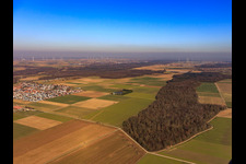 Vue aérienne de Vue de la ville depuis l'ouest à Steinweiler dans le département Rhénanie-Palatinat, Allemagne