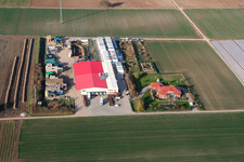 Enregistrement par drone de Zeiskam dans le département Rhénanie-Palatinat, Allemagne