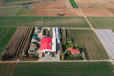 Zeiskam dans le département Rhénanie-Palatinat, Allemagne d'un drone