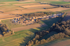 Vue aérienne de Ernst Semar GmbH Usine de recyclage et service de conteneurs à Oberotterbach dans le département Rhénanie-Palatinat, Allemagne