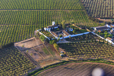 Vue aérienne de Hacienda de Clarevot entre les plantations d'oliviers à Alcalá de Guadaíra dans le département Séville, Espagne