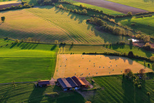 Vue aérienne de Prairies fauchées avec des balles de foin dans une ferme à Rexingen dans le département Bas Rhin, France