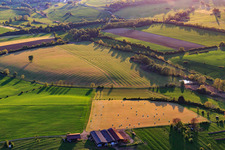 Vue aérienne de Prairies fauchées avec des balles de foin dans une ferme à Rexingen dans le département Bas Rhin, France