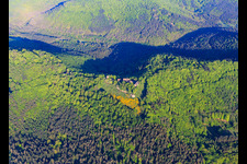 Vue aérienne de CHÂTEAU DU HUNEBOURG vu de l'est à Dossenheim-sur-Zinsel dans le département Bas Rhin, France