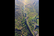 Photographie aérienne de Étangs à poissons à Meisenbach à Sparsbach dans le département Bas Rhin, France
