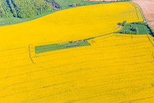Vue aérienne de Aérodrome modèle dans un champ de colza en fleurs à Gros-Réderching dans le département Moselle, France