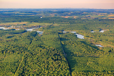 Vue aérienne de Forêt devant le lac de Mittersheim depuis l'ouest à Mittersheim dans le département Moselle, France