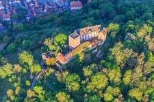 Château et parc du château Gamburg à le quartier Gamburg in Werbach dans le département Bade-Wurtemberg, Allemagne d'en haut