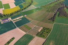 Vue aérienne de Weinberger sur Taubertalstr à le quartier Impfingen in Tauberbischofsheim dans le département Bade-Wurtemberg, Allemagne