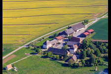 Vue aérienne de Ferme ovine à le quartier Bronnbach in Wertheim dans le département Bade-Wurtemberg, Allemagne