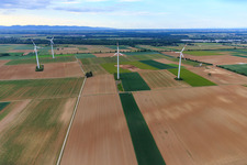 Parc éolien Minfeld à Minfeld dans le département Rhénanie-Palatinat, Allemagne vue d'en haut