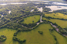 Vue aérienne de Réserve naturelle de Taubergiessen entre les prairies rhénanes et le Rhin à le quartier Rheinau in Ortenaukreis dans le département Bade-Wurtemberg, Allemagne