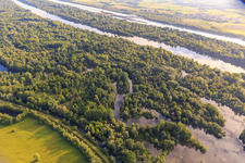 Vue aérienne de Anciens bras du Rhin dans la réserve naturelle de Taubergiessen entre les prairies rhénanes et le Rhin à le quartier Rheinau in Ortenaukreis dans le département Bade-Wurtemberg, Allemagne