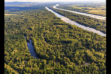 Photographie aérienne de Réserve naturelle de Taubergiessen entre les prairies rhénanes et le Rhin à le quartier Rheinau in Ortenaukreis dans le département Bade-Wurtemberg, Allemagne