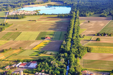 Vue aérienne de Lac de gravier des Ballastières Werny SAS à Marckolsheim dans le département Bas Rhin, France