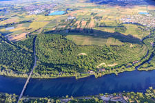 Vue aérienne de Zone de conservation paysagère de Limberg am Rhein à Sasbach am Kaiserstuhl dans le département Bade-Wurtemberg, Allemagne