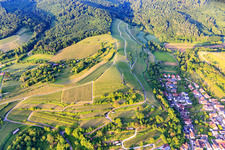 Vue aérienne de Tour de téléphonie mobile sur le vignoble à le quartier Bombach in Kenzingen dans le département Bade-Wurtemberg, Allemagne