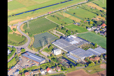 Vue aérienne de Göppert Garden Center GmbH à le quartier Bollenbach in Haslach im Kinzigtal dans le département Bade-Wurtemberg, Allemagne