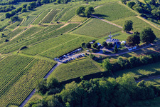 Vue aérienne de Restaurant panoramique Heubergturm / vers le Heuberg sur le vignoble à Ettenheim dans le département Bade-Wurtemberg, Allemagne
