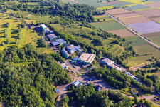 Vue aérienne de Décharge de l'association de traitement des déchets de Kahlenberg entourée de vignes à Ringsheim dans le département Bade-Wurtemberg, Allemagne