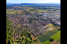 Vue aérienne de Vue de la ville depuis le nord à Herbolzheim dans le département Bade-Wurtemberg, Allemagne