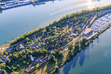Vue aérienne de Camping Tohapi L'Ile du Rhin sur l'Île du Rhin à Biesheim dans le département Haut-Rhin, France