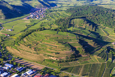 Vue aérienne de Vignobles du Kaiserstuhl vus de l'ouest à le quartier Achkarren in Vogtsburg im Kaiserstuhl dans le département Bade-Wurtemberg, Allemagne