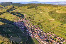 Vue aérienne de Village viticole du Kaiserstuhl vu de l'ouest à le quartier Achkarren in Vogtsburg im Kaiserstuhl dans le département Bade-Wurtemberg, Allemagne